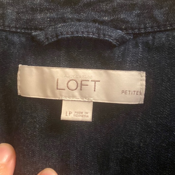 Loft Petite Tunic - Picture 4 of 5